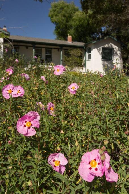 Wine Country Bungalow 아타스카데로 외부 사진